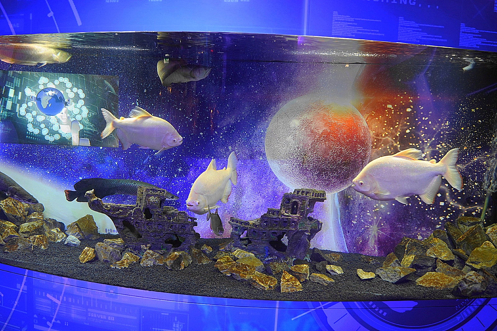 UNDER WATER SPACE NAGOYA 名古屋mozoワンダーシティ１F 2024.4.19～2024.9.23 期間限定開催アート×宇宙×アクアリウム ガラスアートで参加させて頂きました。生田目礼一underwaterspaceアンダーウォータースペースアクアリウム宇宙名古屋mozoワンダー