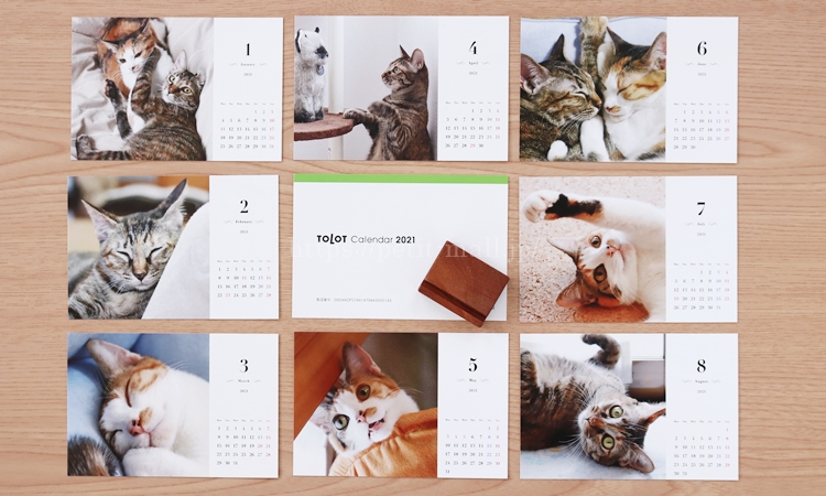 気持ちが伝わる500円の使い方：オリジナルの卓上フォトカレンダーが作れる「TOLOTカレンダー」を試したライフハッカー・ジャパン