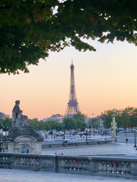 ガイドさんと一緒にパリの街並みもグルメも堪能！旅行記事emoエモ- 旅メディア