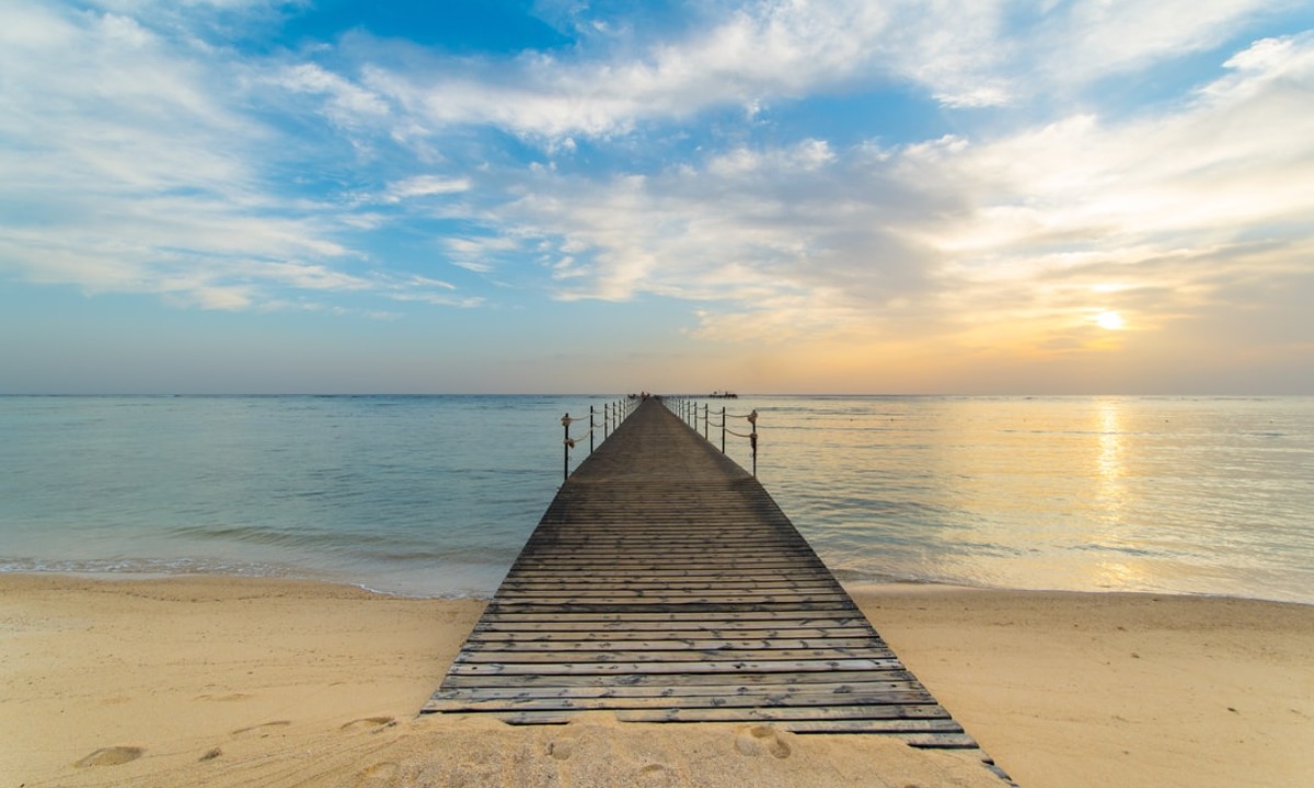 映画チラシサイト：水は海に向かって流れる