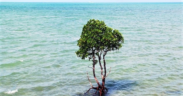 石垣島 名蔵湾で見るサンセットは最高だった！オキナワ島旅日記沖縄旅行記 兼 情報ブログ