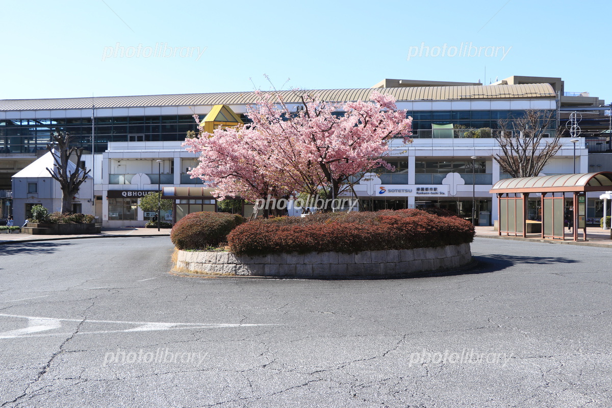 緑園都市 親子で1日中遊べる！緑あふれるニュータウン三井のリハウス