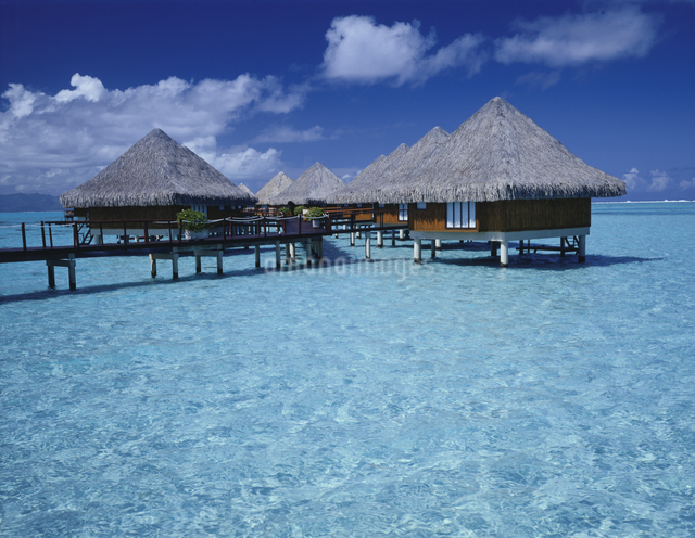 タヒチ旅行、ツアー・観光情報タヒチ旅行専門店トーホートラベル