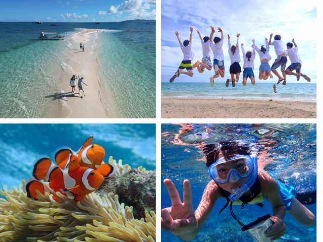 1日 幻の島×竹富島！幻の島上陸＆シュノーケリング＆竹富島観光 - 石垣島 ADVENTURE PiPi ピピ