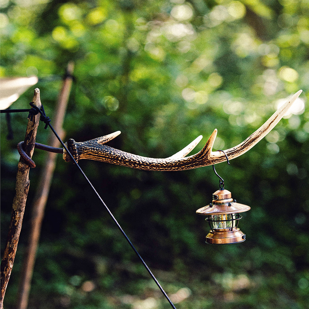 最新情報 - キャプテンスタッグアウトドア用品総合ブランド