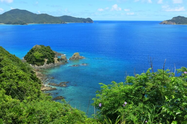 世界自然遺産登録間近！ 奄美大島 鹿児島県旅のひろばワールド航空サービス