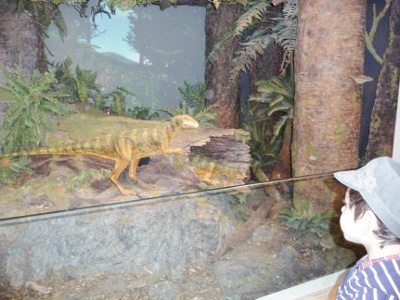 メルボルン博物館, メルボルン, Victoria, Australia