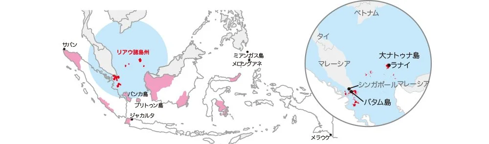 南シナ海反中連帯」の旗を掲げるインドネシア-Chosun online 朝鮮日報