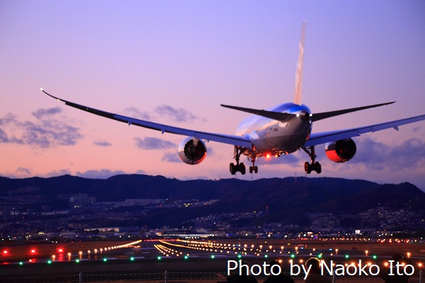 千里川土手 アクセス・営業時間・料金情報 - じゃらんnet