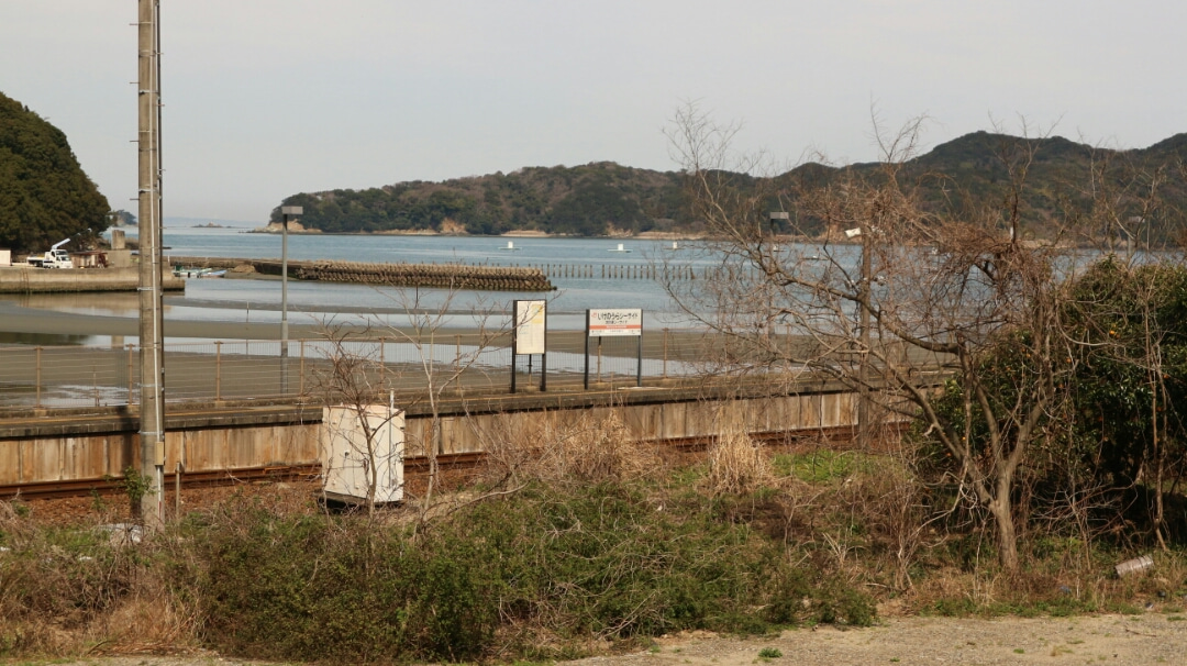 柴犬小春犬かき披露！犬と楽しめるビーチ池の浦シーサイドパーク海水浴場 三重県伊勢市 Shiba Koharu goes to the Beach
