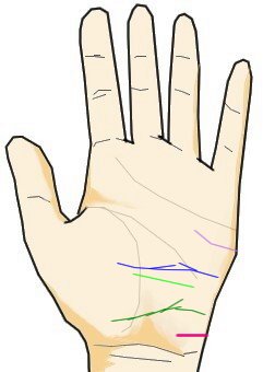 手相 2021年は一生に一度の転換期！この時代に成功する手相はこれだ！ウラスピナビ