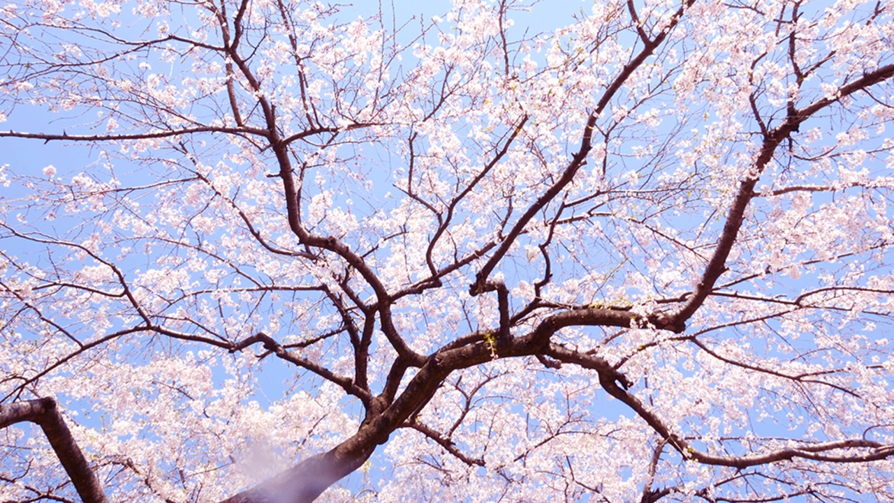 ドローン × 4Kカメラ動画・映像 ヒーリングブルー・エア 沖縄の絶景 2 石垣 記事一覧 タグ:海岸・ビーチ・海-クールジャパンビデオ日本の観光・旅行・グルメ・面白情報をまとめた動画キュレーションサイト「COOL JAPAN VIDEOS」