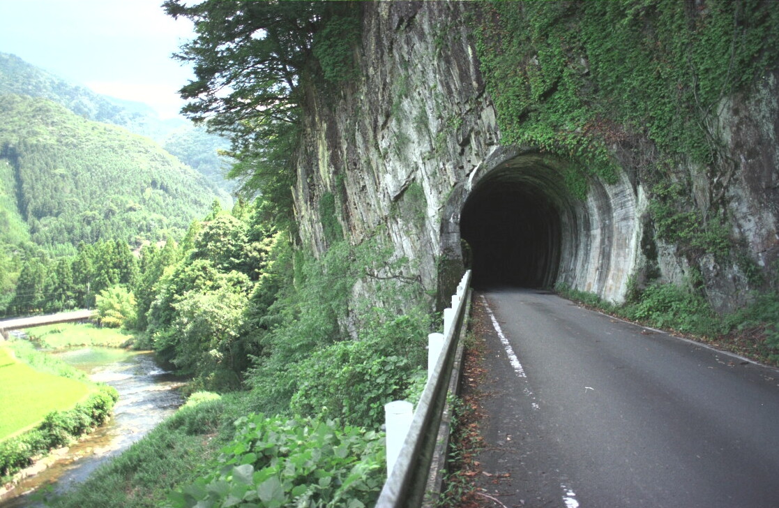 森の中で朽ち果てたホーム跡 豊橋鉄道田口線の三河大草駅、手掘りトンネルの先 行ってみよう廃線跡 - 産経ニュース