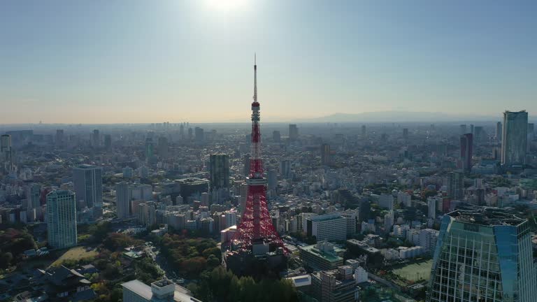 京都タワーからの眺望 - 京都フリー写真素材集：京都の神社・寺院・観光地・世界遺産の無料写真