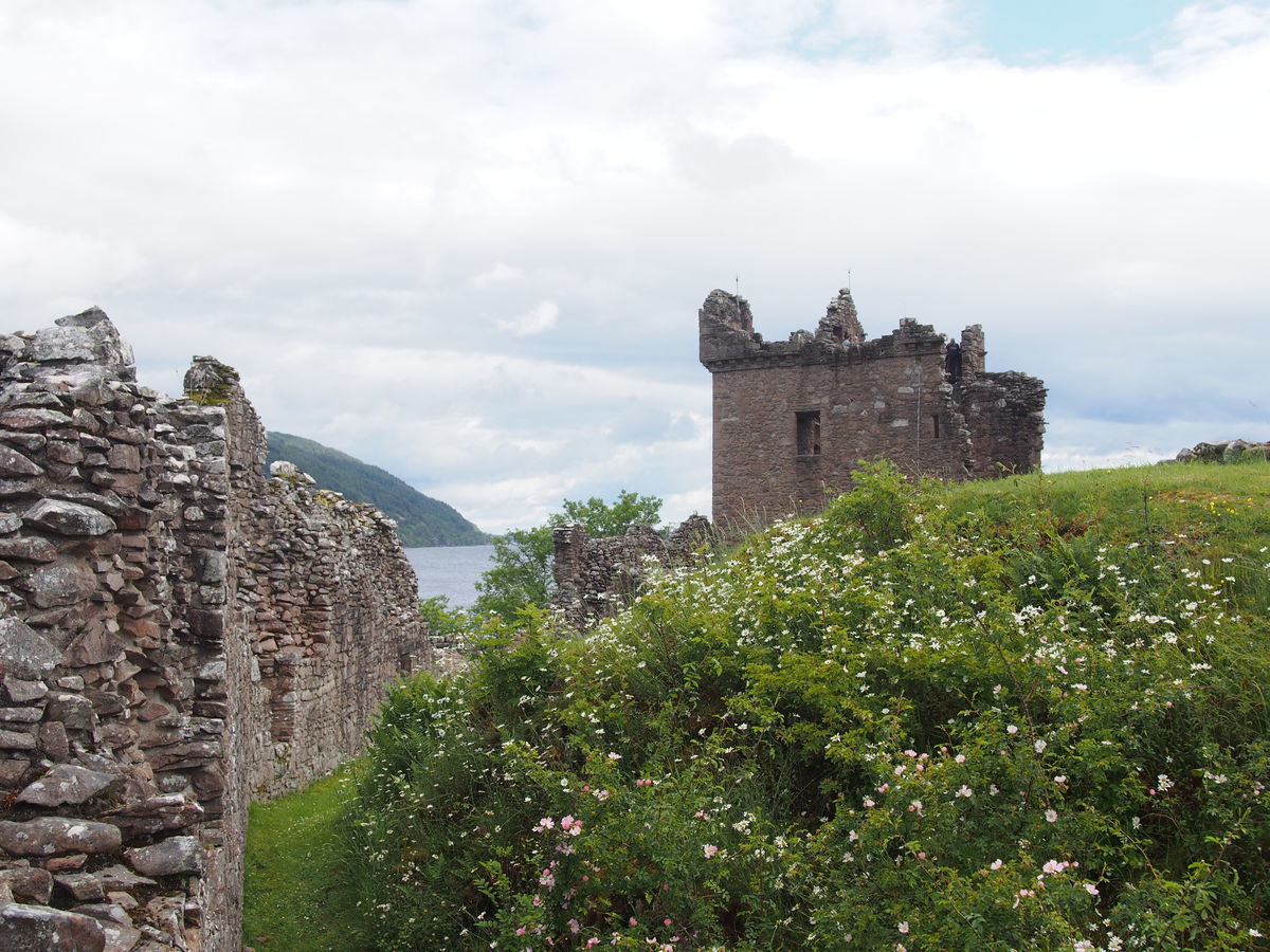 ハイデルベルク城 1 破壊された城を再建しないのは神の意志Traveloop.jp