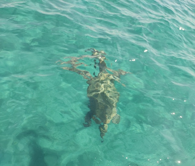 Amazon.co.jp: おんな傘 おんなの終着駅 海の女房: ミュージック