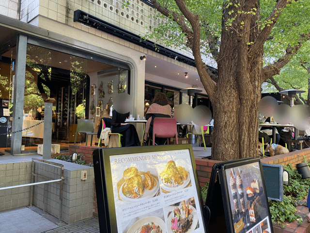 銀杏並木沿いの爽やかなカフェレストラン。』by tokyokitten : キハチ 青山本店KIHACHI - 外苑前 イタリアン食べログ