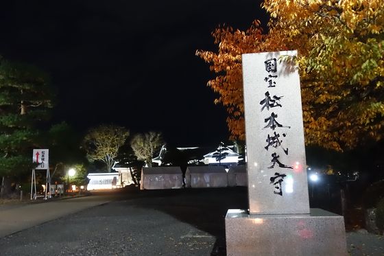 水面に映るライトアップにうっとり。国宝松本城で光のアート・クリスマスイルミ・氷の彫刻を楽しめる冬イベントが開催 長野