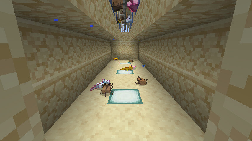 マイクラ 今年やり残していた建築をします！ウーパールーパーハウスと釣り家を完成させます猫は邪魔をするのが仕事です ゲームさせろや