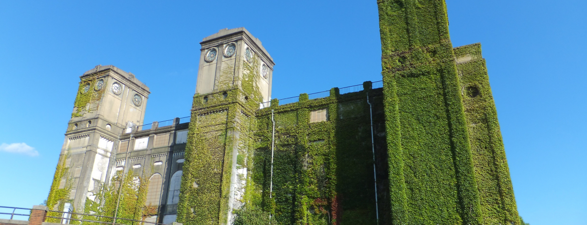 タイムスリップよこはま - 根岸周辺 - - 根岸競馬場