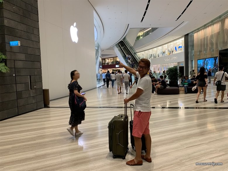 JEWEL Changi Airport - マンゴスティン倶楽部