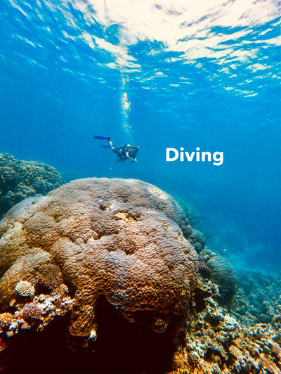 エジプトのスキューバダイビング 2025年 TOP10Klook 日本