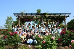 色とりどり梅の花 いなべ市農業公園梅林「梅まつり」2025年見頃時期と開花状況・アクセスと駐車場 三重県いなべ市カタスミ日記