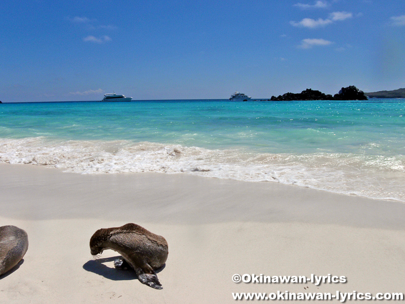 イスパニョーラ島 - Wikipedia