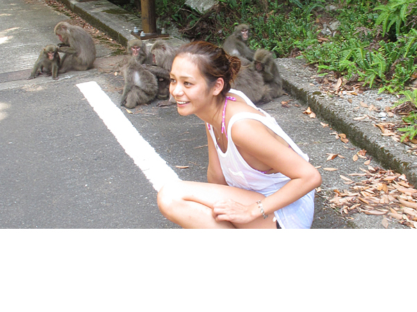 屋久島-西部林道-屋久島アクティビティ