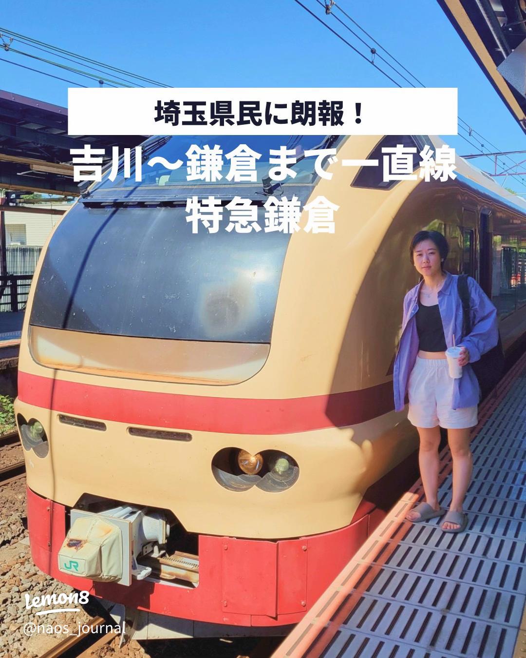 特急「鎌倉」 武蔵野貨物線を走る鎌倉行きの臨時特急列車！ 運転日・ダイヤ、指定席の予約方法・料金、おすすめのきっぷを紹介！ 2025年版ひさの乗り鉄ブログ