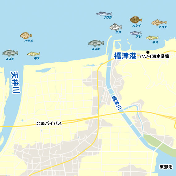 橋津港の入口でシロギス釣り龍一郎のアリバイ