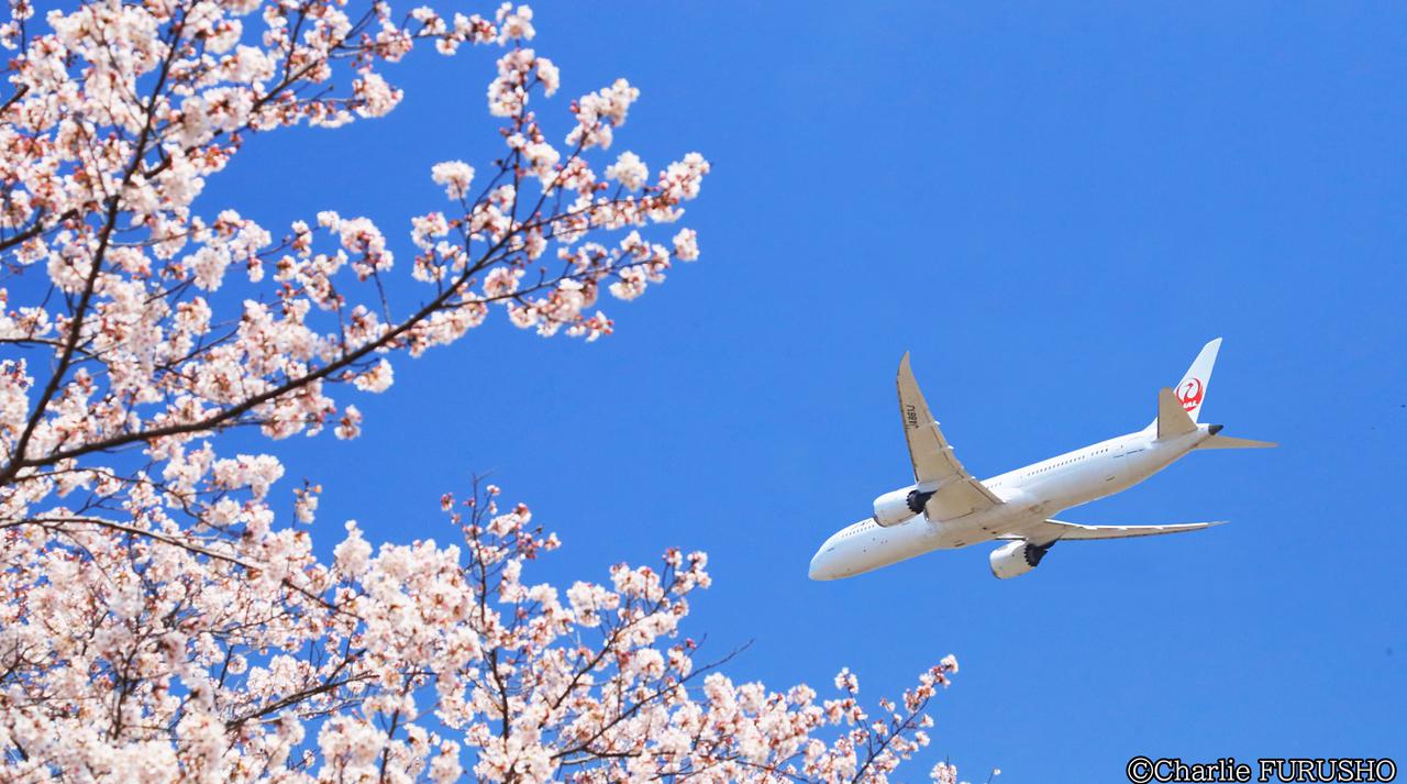 ニュアンス別 「景色」を意味する英語表現4選＆「綺麗な景色」を伝える形容詞5選DMM英会話ブログ