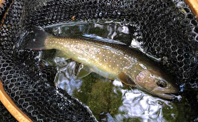 川釣り初心者に必要な装備って？仕掛け・餌・道具・お得なツアーを紹介！アクティビティジャパン