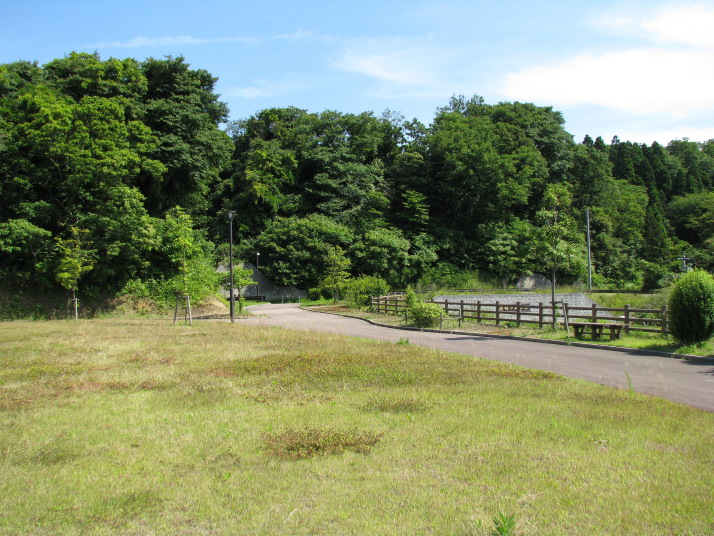 もみじ姫公園 富山の観光地