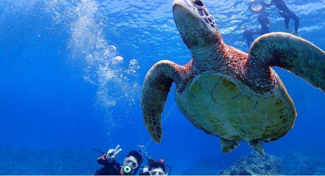 那覇市 三重城港 海の上うみそら公園 l 沖縄 釣り ポイントとしあきの釣道