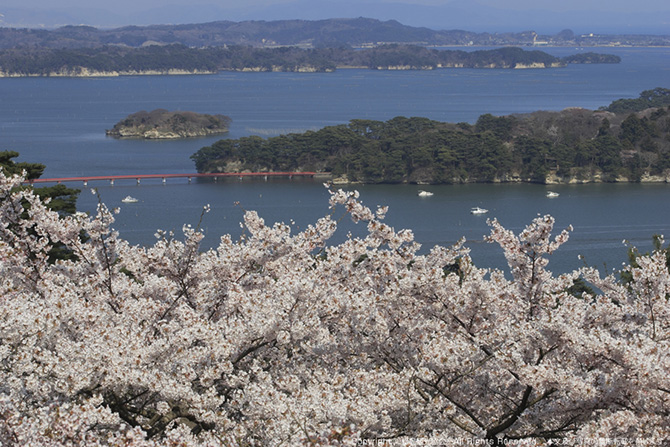 松島の朝日・夕日 - 宮城県松島町