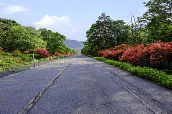 秋晴れの上毛三山パノラマ街道でワインディング三昧 : 気ままに「くねくねつるつる」