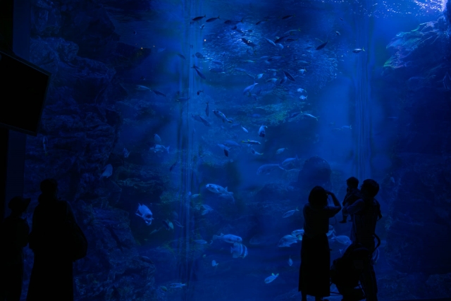 終始自然体で」仲良しリンクコーデ！水族館でカップルフォトの撮影OurPhoto アワーフォト