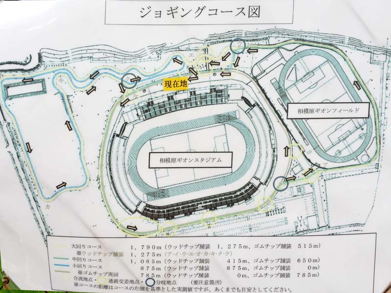 相模原ギオン・スタジアムの想い出: スポーツ観戦