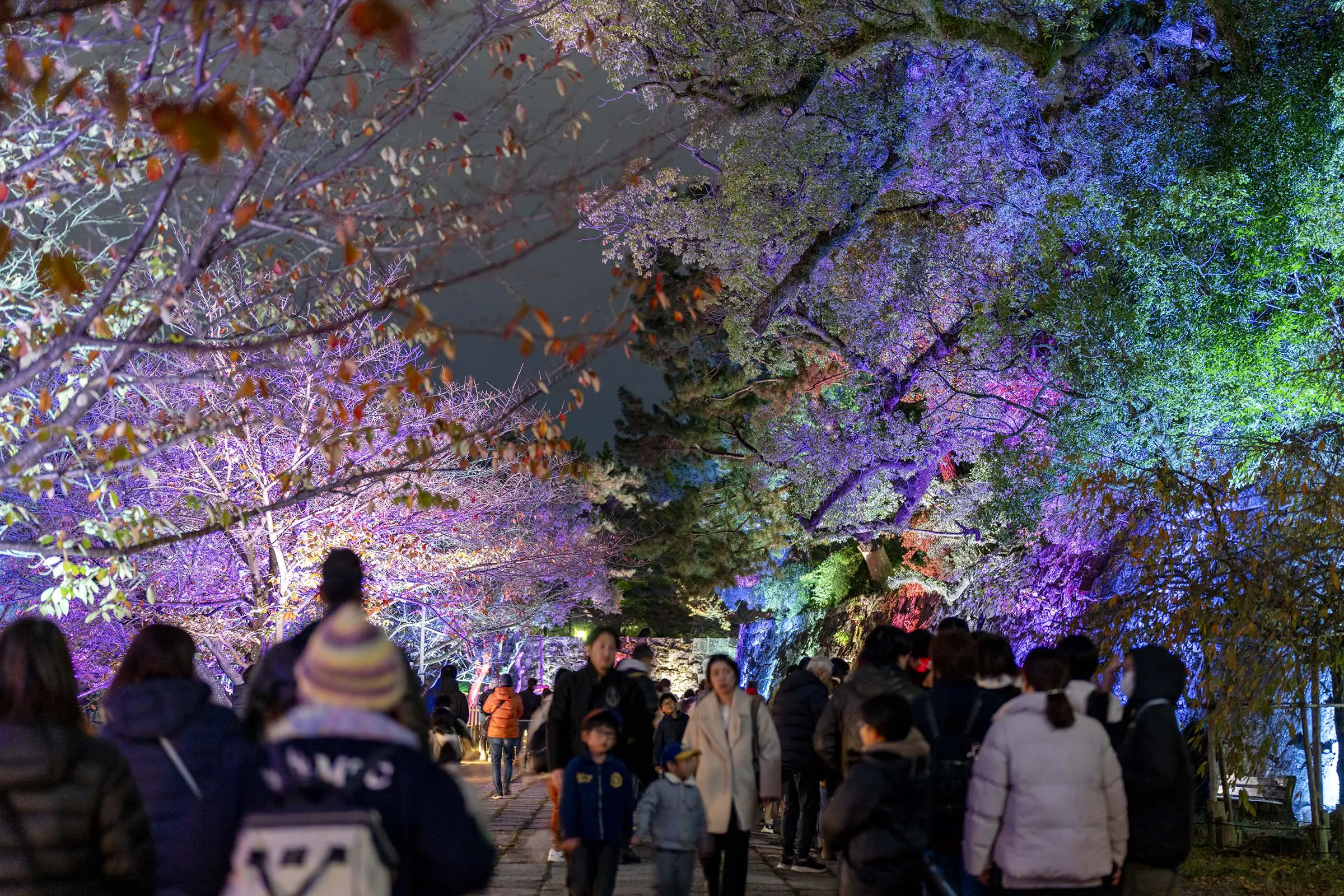 街を彩る100万個のイルミネーション、和歌山城石垣ライトアップも和歌山県 ：朝日新聞