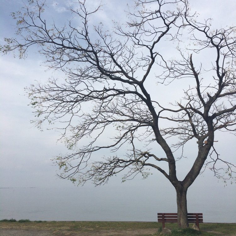 あのベンチの写真素材写真素材なら「写真AC」無料 フリー ダウンロードOK