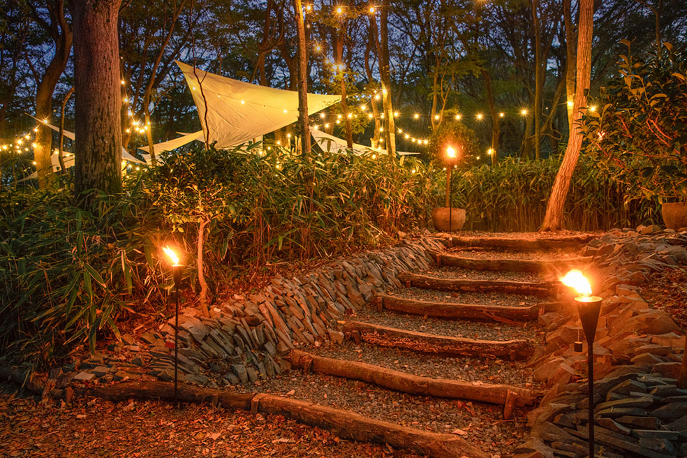 ニコライ バーグマン 箱根 ガーデンズ」へ！🍀GreenSnap グリーンスナップ