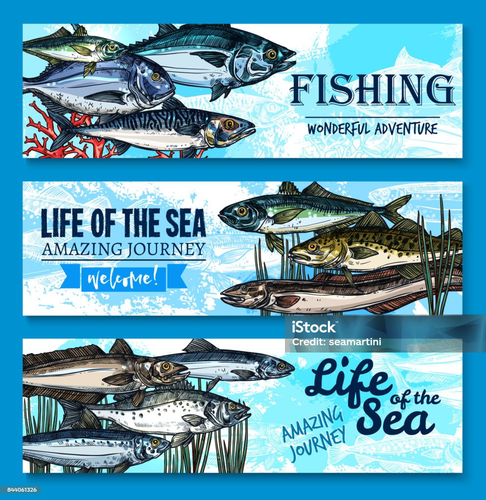 山口県長門市青海島通地区「釣り客マナー向上啓発ポスター」: 山口県・長門市・今が旬