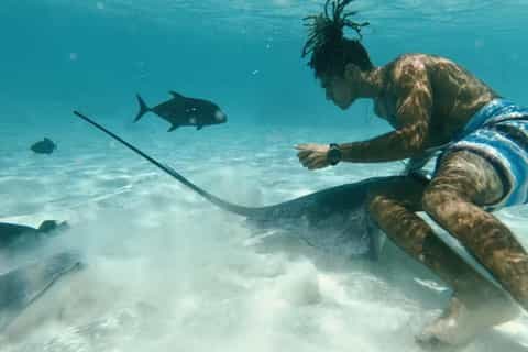 モーレア島の旅行・ツアー予約海外ツアー JTB