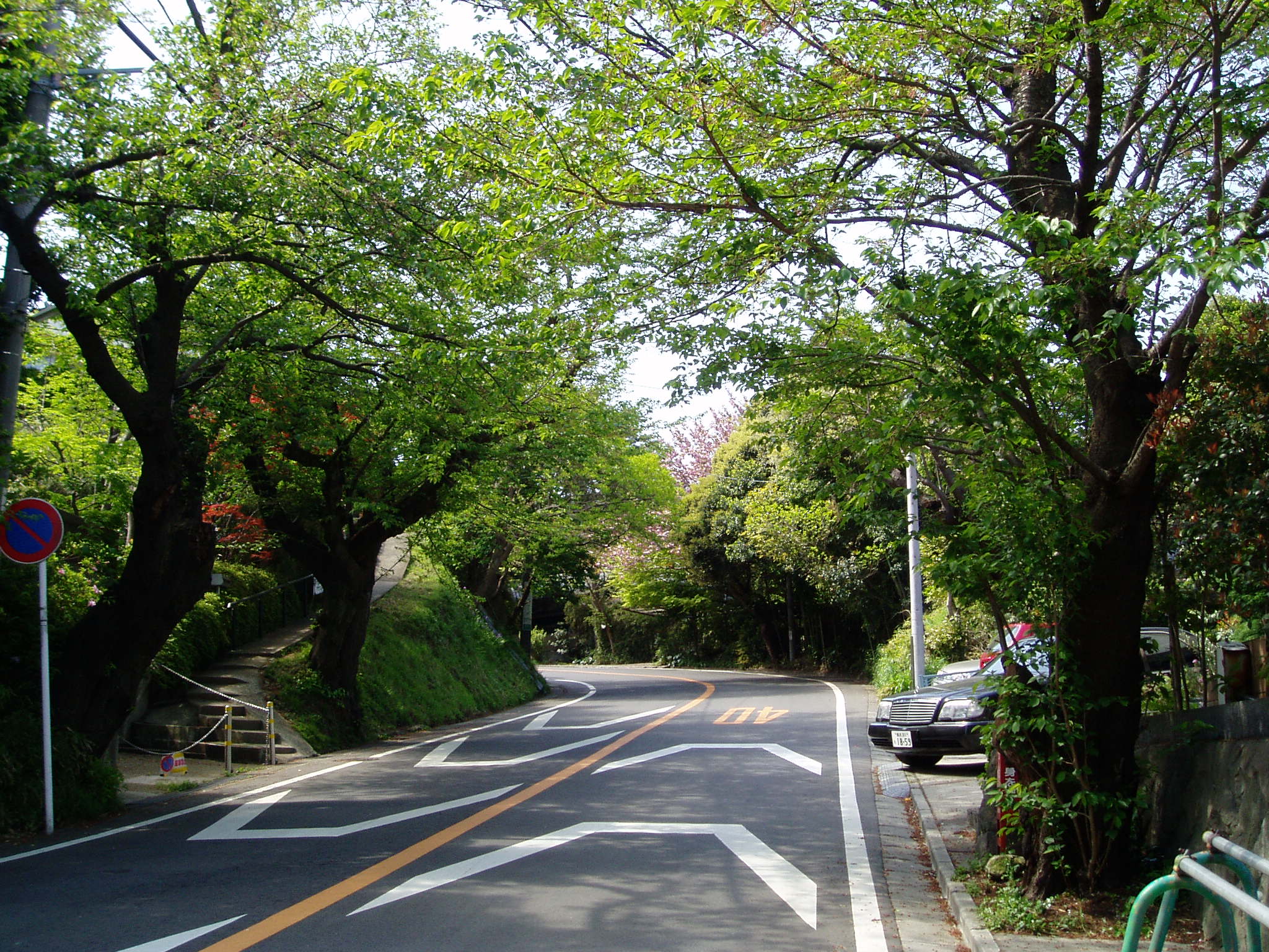 海さくら神奈川県立七里ガ浜高等学校 江の島 Lovers