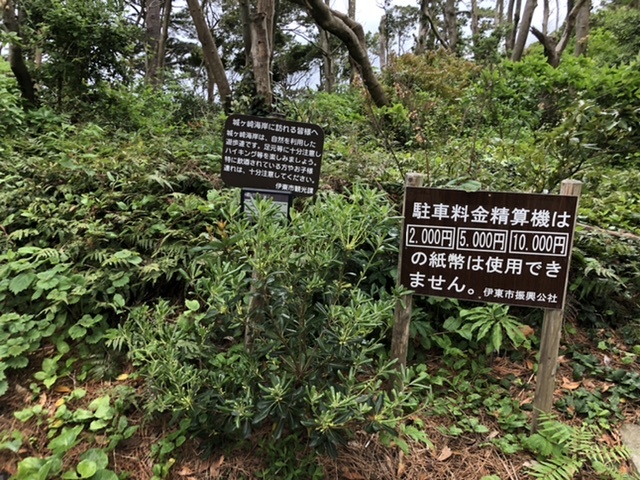 城ヶ崎海岸 溶岩流でできた岩石海岸に架かるスリル満点の吊り橋に行こう！ - ぶらりうぉーか