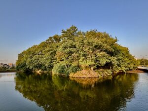 マルタのミステリー！？ 世界遺産の巨石神殿遺跡群を巡る マルタ共和国ワウネタ海外生活