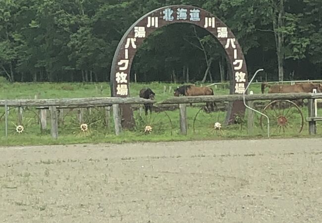 100km歩こうよ大会 in 摩周・屈斜路湖2013 – 大会前日