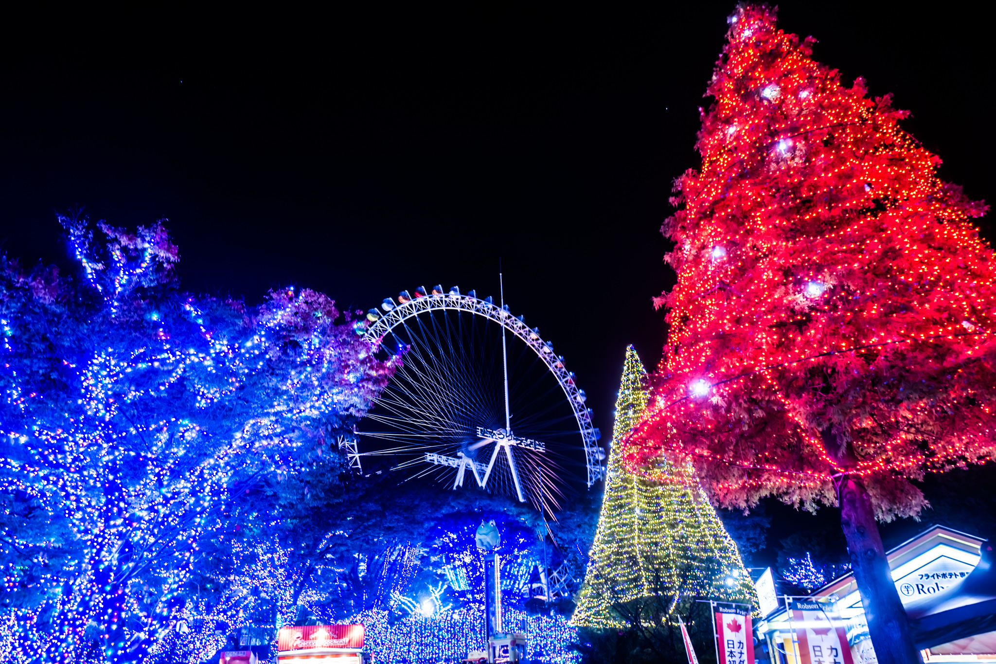 映えスポットの 