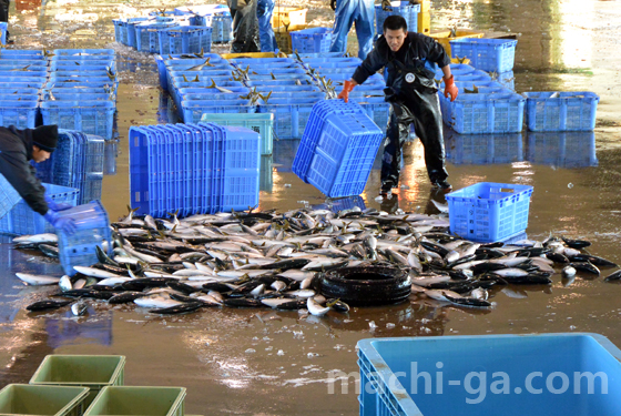 氷見漁港の朝セリ アクセス・イベント情報 - じゃらんnet